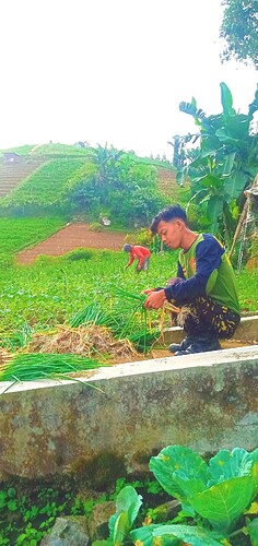KOLORO_1745629708449